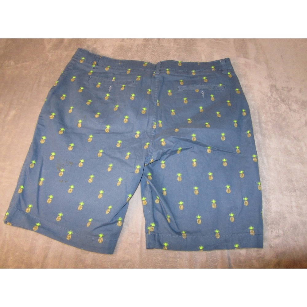 Plugg Flex Mens Blue Pineapple Print Chino Shorts Size 38 Tropical Summer Casual - Picture 5 of 7